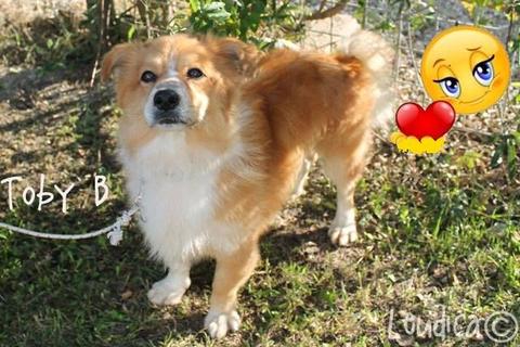 Toby, buona vita!